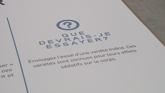Un îlot donne quelques informations sur une variété de cannabis. Un îlot donne quelques informations sur une variété de cannabis.