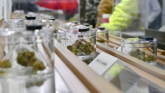 Grève à BC Liquor : des magasins de cannabis réclament une aide rapide de la province