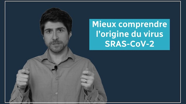 Mieux comprendre l'origine du virus SRAS-CoV-2