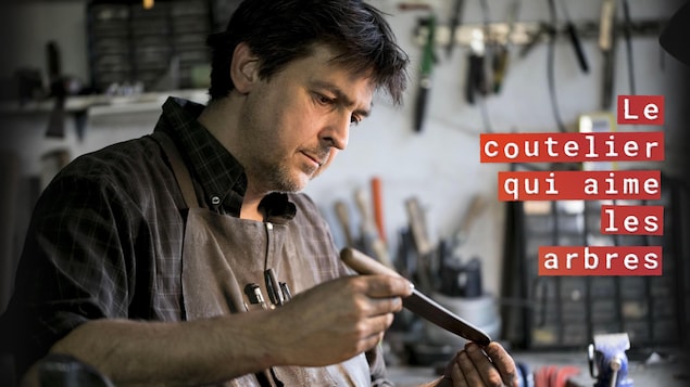 Le coutelier qui aime les arbres