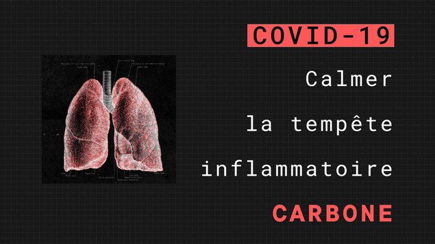 Calmer la tempête inflammatoire