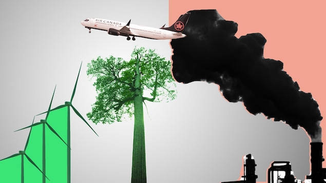 Comment fonctionne la compensation carbone?