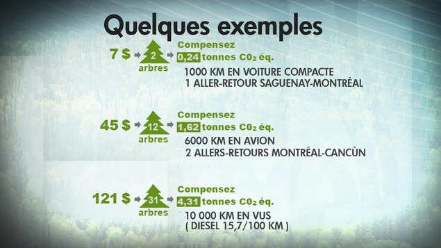 Un tableau montre qu'il faut planter 2 arbres pour compenser les émissions polluantes d'un trajet Saguenay-Montréal. Un tableau montre qu'il faut planter 2 arbres pour compenser les émissions polluantes d'un trajet Saguenay-Montréal.