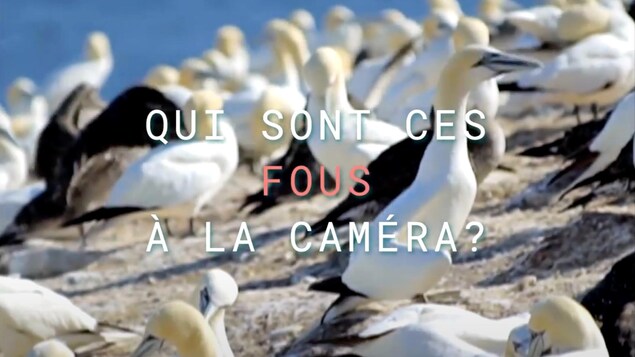 Qui sont ces fous à la caméra?