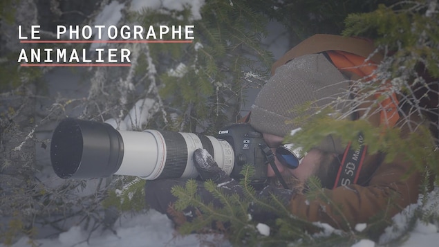 Le photographe Jean-Simon Bégin dans la forêt Montmorency.