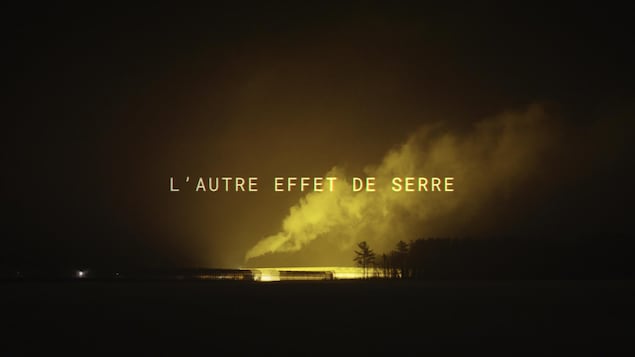 Les serres maraîchères produisent beaucoup de pollution lumineuse la nuit.