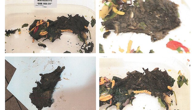 Images de la carcasse d'animal qui a été retrouvée dans le plat de la plaignante. Images de la carcasse d'animal qui a été retrouvée dans le plat de la plaignante.
