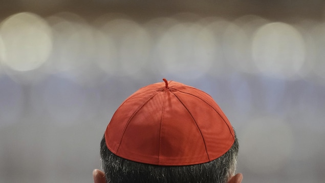 Le haut de la tête d'un cardinal portant sa calotte, de dos.