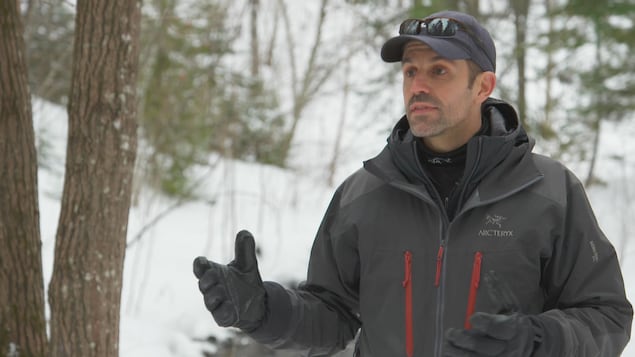 Un spécialiste du caribou choqué par les doutes émis sur les données scientifiques