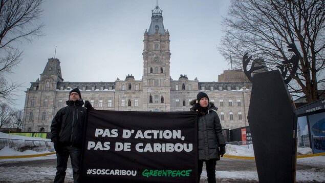 Deux personnes devant l'Assemblée nationale du Québec tiennent un drapeau avec le slogan « Pas d'action, pas de caribou » et le mot-clic « SOS caribous ». Deux personnes devant l'Assemblée nationale du Québec tiennent un drapeau avec le slogan « Pas d'action, pas de caribou » et le mot-clic « SOS caribous ».