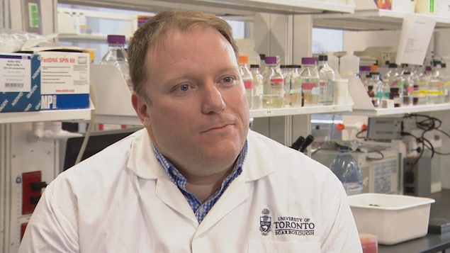 Le professeur Carl Mitchell de l’Université de Toronto dans son laboratoire Le professeur Carl Mitchell de l’Université de Toronto dans son laboratoire
