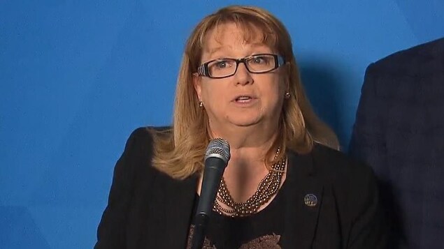 La leader parlementaire adjointe du Parti québécois, Carole Poirier parle aux journalistes. La leader parlementaire adjointe du Parti québécois, Carole Poirier parle aux journalistes.