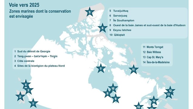 Carte du Canada montrant les zones marines dont la conservation est envisagée d'ici 2025.