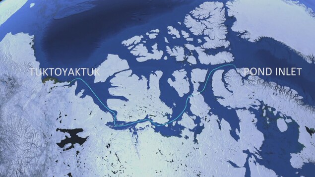 Une carte présentant le trajet de la navigatrice entre les glaciers de l'Arctique, de Tuktoyaktuk (à l'Ouest du Canada) à Pond Inlet (à l'Est). Une carte présentant le trajet de la navigatrice entre les glaciers de l'Arctique, de Tuktoyaktuk (à l'Ouest du Canada) à Pond Inlet (à l'Est).