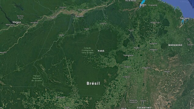 Une carte satellite de l'Amazonie