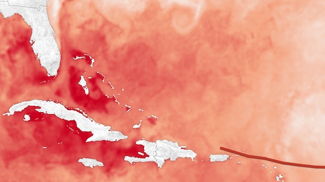 Les zones rouge pâle avoisinent les 28 degrés Celsius alors que les zones foncées atteignent les 30 degrés Celsius. Les zones rouge pâle avoisinent les 28 degrés Celsius alors que les zones foncées atteignent les 30 degrés Celsius.
