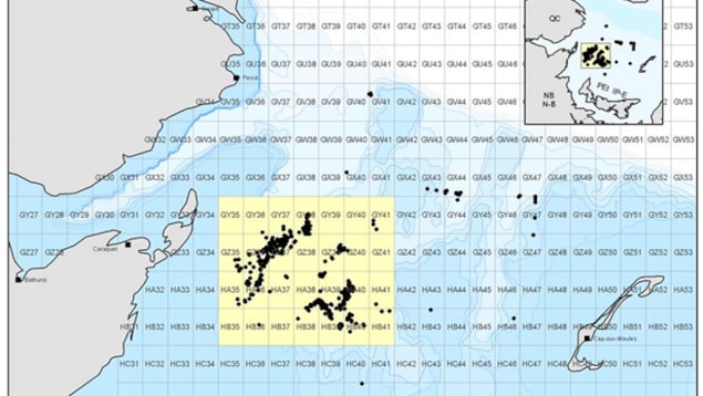 Pêches et Océans a imposé la fermeture de la zone statique à partir du 28 avril 2018 aux pêcheurs de crabe des neiges. La superficie de cette zone est de 14 000 km². Cette mesure a été prise pour protéger la baleine noire. Pêches et Océans a imposé la fermeture de la zone statique à partir du 28 avril 2018 aux pêcheurs de crabe des neiges. La superficie de cette zone est de 14 000 km². Cette mesure a été prise pour protéger la baleine noire.