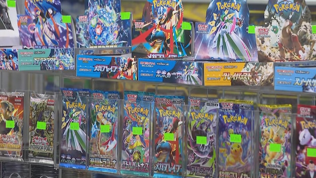 Une vague de vols de cartes Pokémon frappe les commerces canadiens