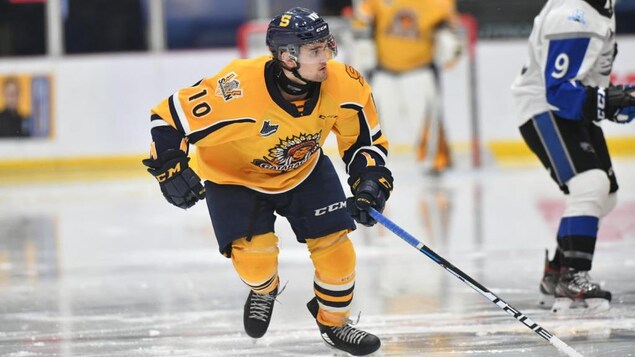 Le joueur de hockey durant un match.