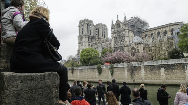 Une vingtaine de personnes sont sur un quai de la Seine, près de la cathédrale. Nombreux sont ceux qui prennent des photos.