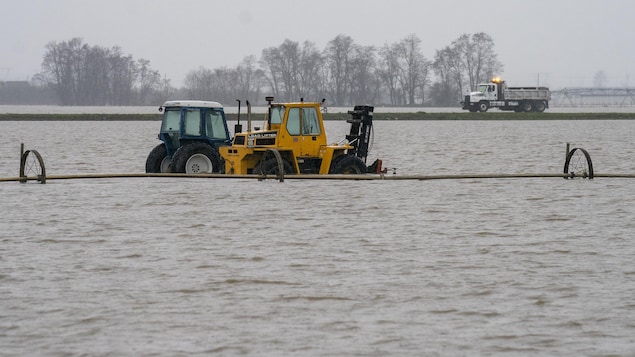 Tractors drive through a flooded field in Abbotsford, British Columbia.