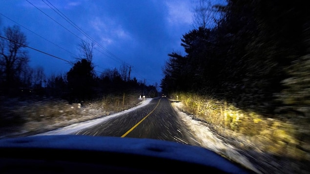 A country road lined with trees at dusk.