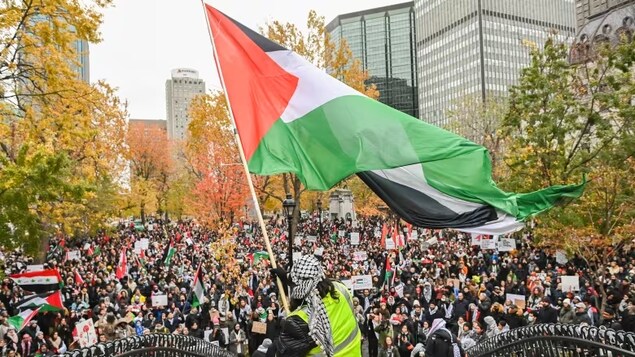 Chilling effect': People expressing pro-Palestinian views censured,  suspended from work and school | Radio-Canada.ca