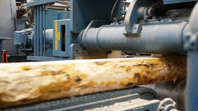 Du bois qui se fait travailler dans l'usine de Cedrico.