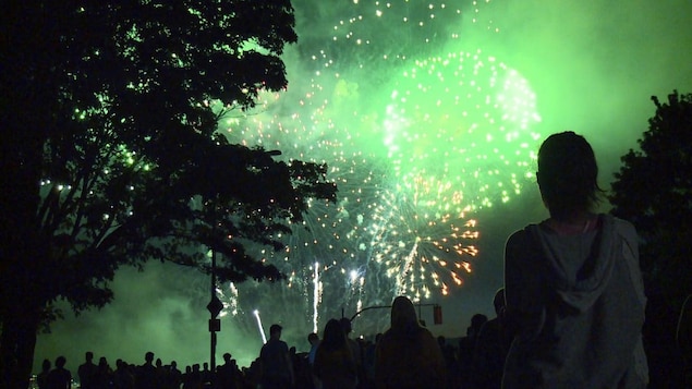 Les feux d’artifice nocifs pour l’environnement