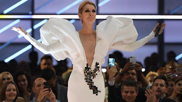 La chanteuse Céline Dion