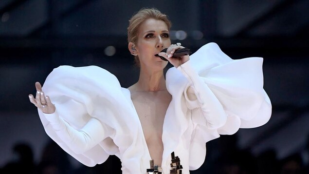Céline Dion announced the cancellation of her European Courage world tour.