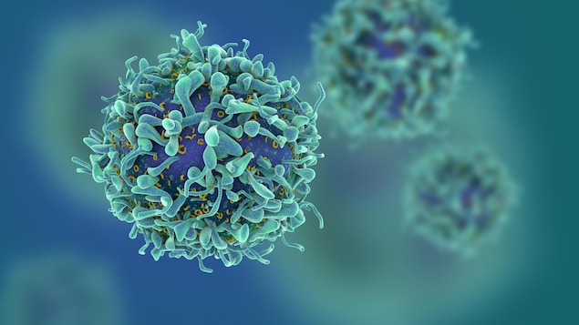 Près d'une personne sur deux aura le cancer au cours de sa vie.