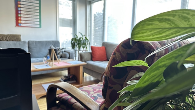 Des divans et des plantes se trouvent dans une pièce avec plusieurs fenêtres.