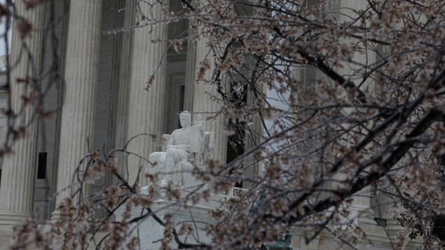 Les branches gelées d'un cerisier en fleur devant la Cour suprême des États-Unis, à Washington, le 14 mars 2017 Les branches gelées d'un cerisier en fleur devant la Cour suprême des États-Unis, à Washington, le 14 mars 2017