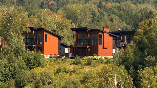 Des chalets près d'une montagne, entourés d'arbres.