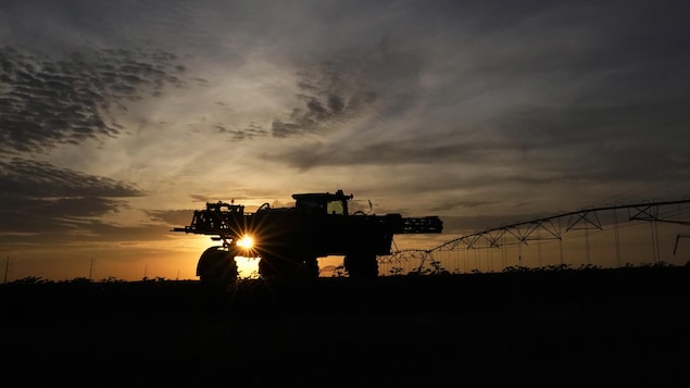 Climat : les huit dernières années ont été les plus chaudes jamais enregistrées