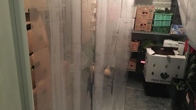 Des boîtes remplies de fruits et légumes empilées dans une chambre froide.