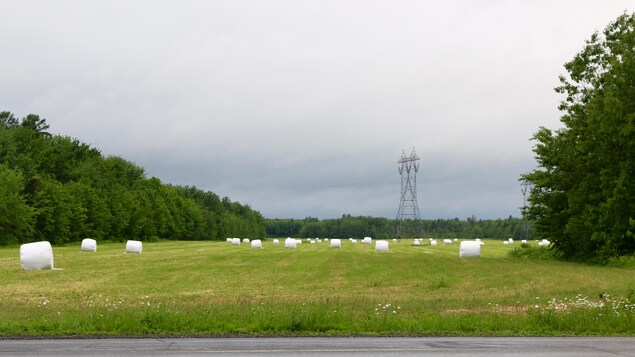 Le champ sur la route du sentier avec des balles de foin Le champ sur la route du sentier avec des balles de foin