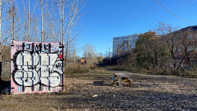 Un terrain avec au centre une table et à gauche un panneau orné d'un graffiti.