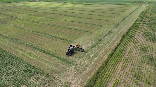 La photo aérienne d'un tracteur dans un champ en Ontario.