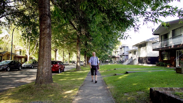 Stephen Sheppard marche dans une rue ombragée par de grand arbres.