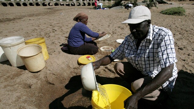 Des villageois recueillent l'eau d'une rivière asséchée, lors de la sécheresse qui a frappé le Zimbabwe. Des villageois recueillent l'eau d'une rivière asséchée, lors de la sécheresse qui a frappé le Zimbabwe.