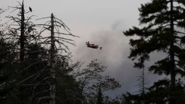 Les feux de forêt au Canada atlantique vont s’aggraver, selon les experts