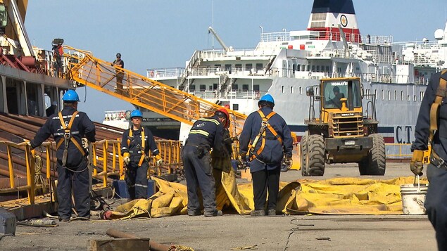 Le chantier maritime Verreault est devenu une véritable ruche d'abeilles. Le chantier maritime Verreault est devenu une véritable ruche d'abeilles.