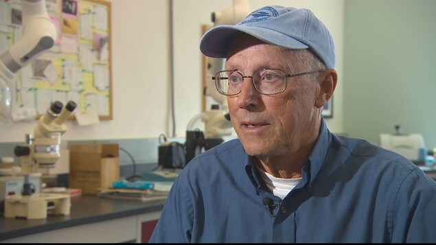 Charles « Stormy » Mayo, l'un des fondateurs du Centre for Coastal Studies du Massachusetts. Charles « Stormy » Mayo, l'un des fondateurs du Centre for Coastal Studies du Massachusetts.