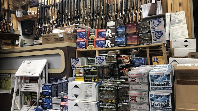 Pénurie de munitions à l’aube de la saison de la chasse sur la Côte-Nord