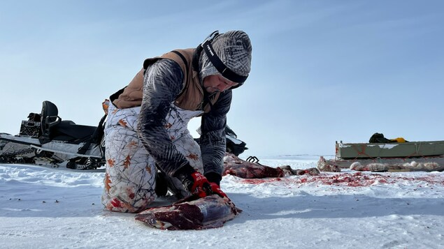 L’insécurité alimentaire largement répandue chez les Inuit du Nunavik