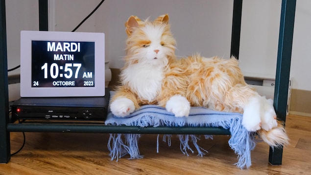 Un chat robot déposé sur une tablette près du sol. Un horloge affiche l'heure et la date; Mardi matin, 10 h 57 am, le 24 octobre 2023.