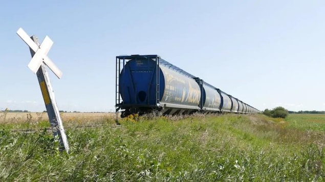 Conflit au CP : un problème de plus pour les agriculteurs albertains