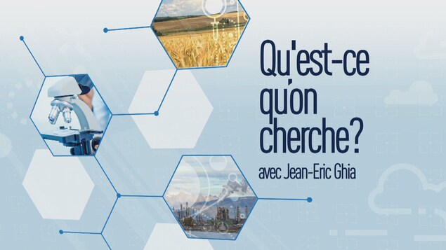 Qu'est-ce qu'on cherche?